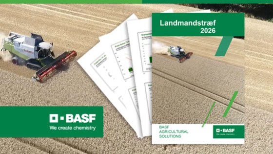 BASF-Newsletter-header